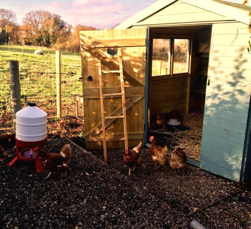 The Summerhouse, Countryside Retreat With Private Hot Tub Bridgnorth Eksteriør billede